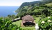 Azoren | Sao Miguel | Casa da Pedra - omgeving