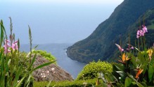 Azoren | Sao Miguel | Casa da Pedra - omgeving