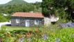 Casa Azalea in Faial